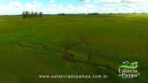 DOS EÓLICOS VIRA P FAZENDA_Moment.00_11_17_04.Quadro297_aab2b260d4c7c4235e2dba66e8be70ca74be2aee.jpg